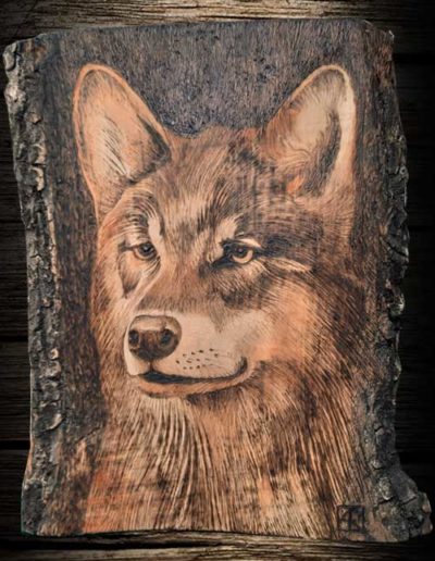Lupo inciso a pirografo su legno di olivo