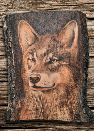 Incisione a pirografo su legno di ulivo di un lupo